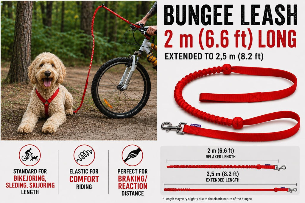 Canicross Bungee Leash | 1 Dog Line for Running, Bikejoring & Skijoring | Shock Absorbing Dog Leash