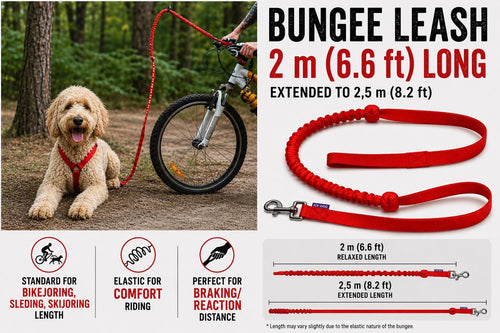 Canicross Bungee Leash | 1 Dog Line for Running, Bikejoring & Skijoring | Shock Absorbing Dog Leash