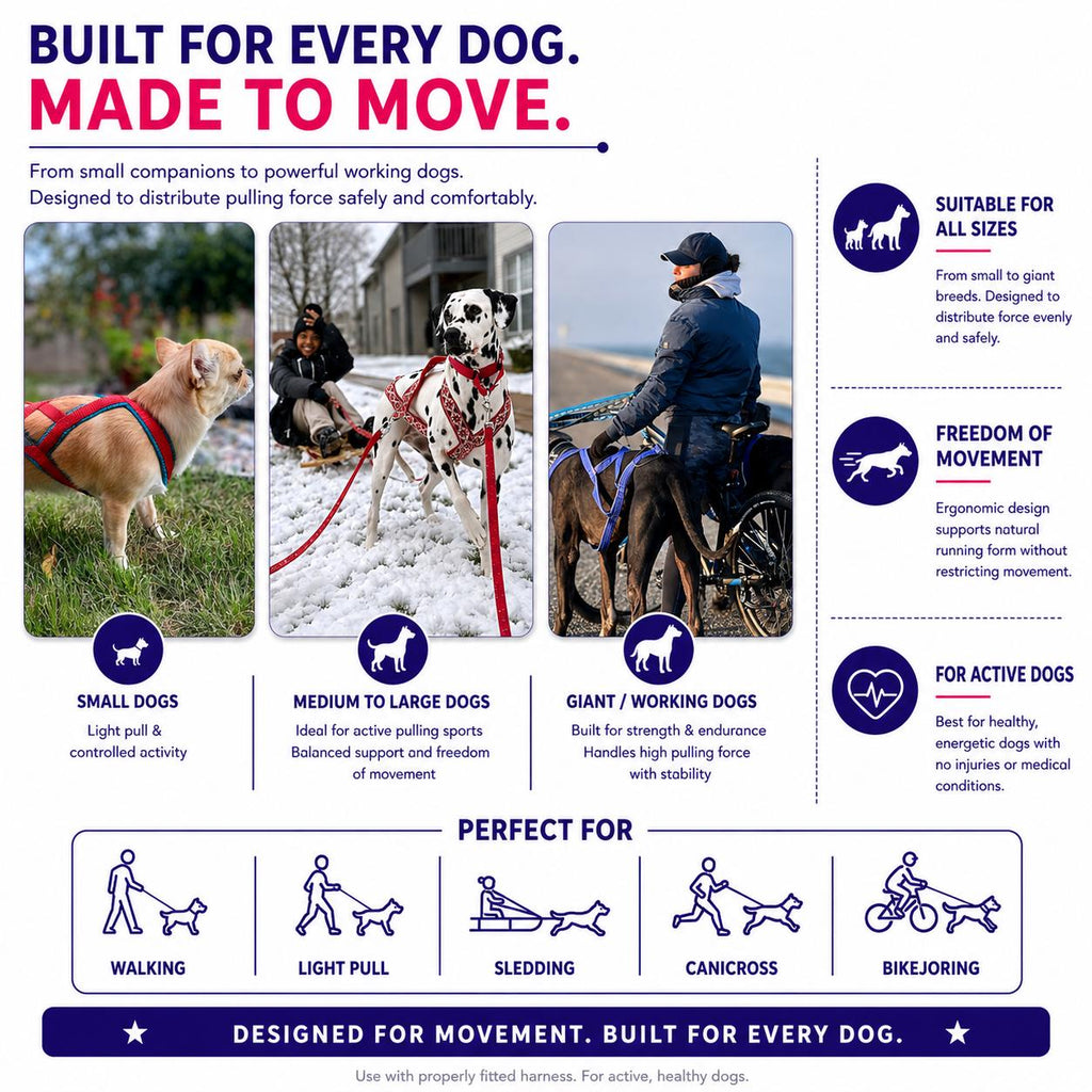 Classic Ethno X-Back Dog Pulling Harness for Canicross, Bikejoring and Sledding