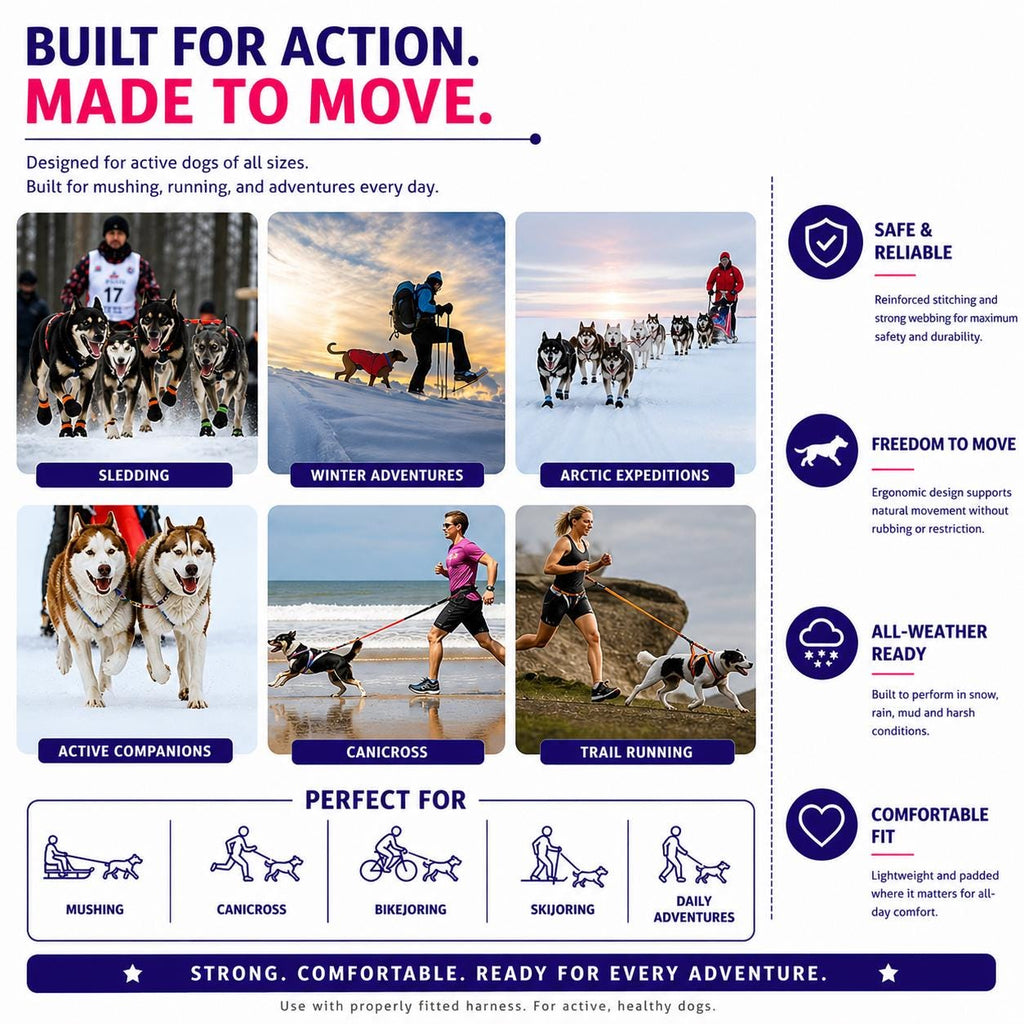 Classic Ethno X-Back Dog Pulling Harness for Canicross, Bikejoring and Sledding